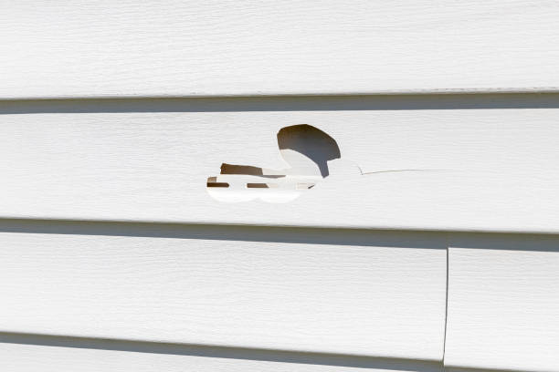 Reliable Brighton, AL Siding Installation Solutions